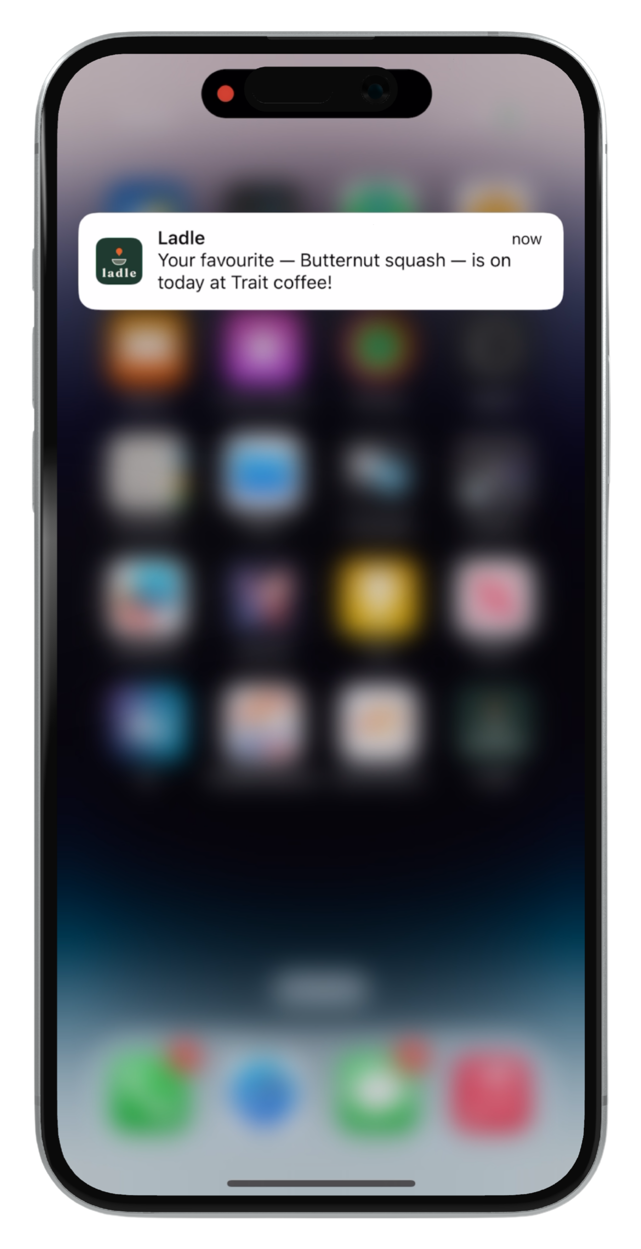 Push notification from Ladle